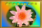 ֹ,󷨵ӹ編ִʦ𻪵(20)