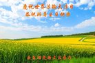 ֹ,󷨵ӹ編ִʦ𻪵(20)