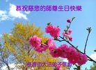 法轮功,长春大法弟子恭贺世界法轮大法日暨师尊华诞(20条)