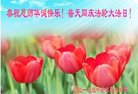 ֹ,ӱ󷨵ӹ編ִʦ𻪵(31)
