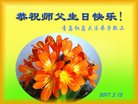 法轮功,青岛大法弟子恭贺世界法轮大法日暨师尊华诞(22条)