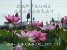 法轮功,西安大法弟子恭贺世界法轮大法日暨师尊华诞(21条)