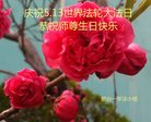 ֹ,ɽ󷨵ӹ編ִʦ𻪵(21)