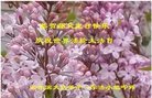 ֹ,󷨵ӹ編ִʦ𻪵(20)