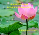 ֹ,󷨵ӹ編ִʦ𻪵(20)
