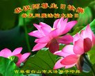 ֹ,ʡ󷨵ӹ編ִʦ𻪵(26)