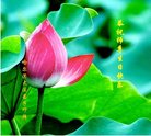 ֹ,󷨵ӹ編ִʦ𻪵(22)