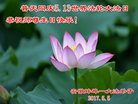 ֹ,մ󷨵ӹ編ִʦ𻪵(26)