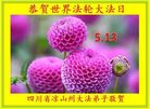ֹ,Ĵ󷨵ӹ編ִʦ𻪵(19)