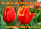 ֹ,ɽ󷨵ӹ編ִʦ𻪵(23)