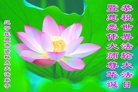 ֹ,󷨵ӹ編ִʦ𻪵(19)