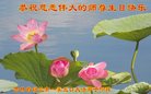 ֹ,д󷨵ӹ編ִʦ𻪵(19)
