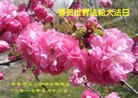 ֹ,д󷨵ӹ編ִʦ𻪵(19)