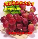 ֹ,д󷨵ӹ編ִʦ𻪵(19)