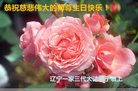 ֹ,󷨵ӹ編ִʦ𻪵(22)