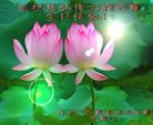 ֹ,Ĵ󷨵ӹ編ִʦ𻪵(19)