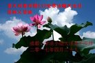 ֹ,ɶ󷨵ӹ編ִʦ𻪵(26)