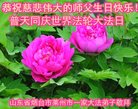 ֹ,ɽ󷨵ӹ編ִʦ𻪵(23)