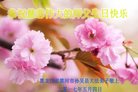 ֹ,󷨵ӹ編ִʦ𻪵(23)