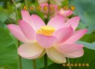 ֹ,󷨵ӹ編ִʦ𻪵(20)