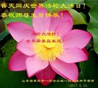 ֹ,ɽ󷨵ӹ編ִʦ𻪵(24)