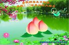ֹ,󷨵ӹ編ִʦ𻪵(18)