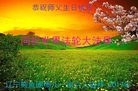 ֹ,󷨵ӹ編ִʦ𻪵(18)