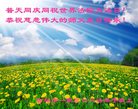 ֹ,д󷨵ӹ編ִʦ𻪵(19)