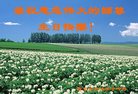 ֹ,󷨵ӹ編ִʦ𻪵(21)