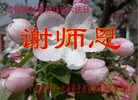 ֹ,󷨵ӹ編ִʦ𻪵(26)