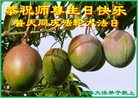 ֹ,󷨵ӹ編ִʦ𻪵(26)