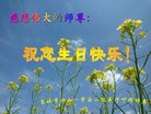 ֹ,д󷨵ӹ編ִʦ𻪵(19)