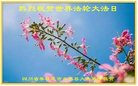 ֹ,Ĵ󷨵ӹ編ִʦ𻪵(20)