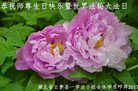 ֹ,󷨵ӹ編ִʦ𻪵(21)