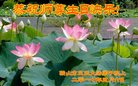 ֹ,󷨵ӹ編ִʦ𻪵(18)