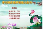 ֹ,ϴ󷨵ӹ編ִʦ𻪵(24)