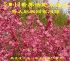 ֹ,󷨵ӹ編ִʦ𻪵(19)