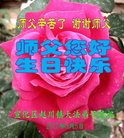 法轮功,张家口大法弟子恭贺世界法轮大法日暨师尊华诞(22条)