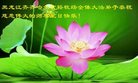 ֹ,󷨵ӹ編ִʦ𻪵(21)