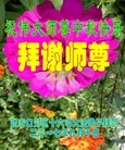 ֹ,żҿڴ󷨵ӹףʦ(20)