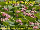 ֹ,󷨵ӹףʦ(19)
