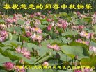 ֹ,󷨵ӹףʦ(19)
