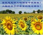 ֹ,󷨵ӹףʦ(19)