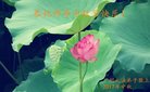 ֹ,ݴ󷨵ӹףʦ(24)