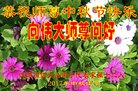 ֹ,󷨵ӹףʦ(22)