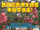 ֹ,żҿڴ󷨵ӹףʦ(20)