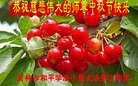 ֹ,д󷨵ӹףʦ(18)