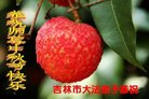 ֹ,д󷨵ӹףʦ(18)