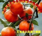 ֹ,д󷨵ӹףʦ(18)
