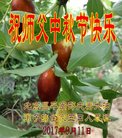 ֹ,󷨵ӹףʦ(21)